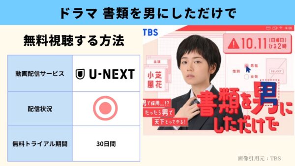 U-NEXT ドラマ　書類を男にしただけで 無料動画配信