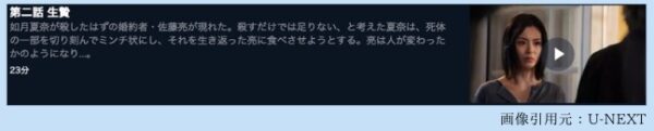 U-NEXT ドラマ 私の夫は冷凍庫に眠っている 無料配信動画