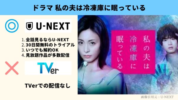 U-NEXT ドラマ 私の夫は冷凍庫に眠っている 無料配信動画