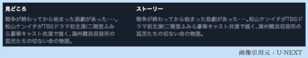 ドラマ 遠い約束〜星になったこどもたち〜 無料動画配信