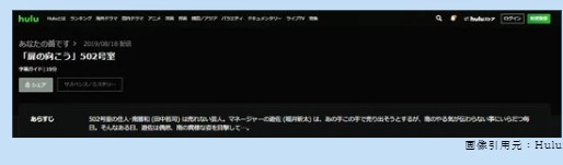 ドラマ　あなたの番です 扉の向こう　無料動画配信