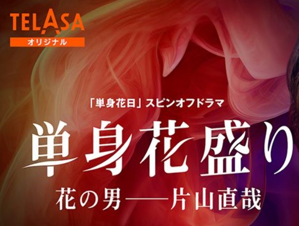 ドラマ 単身花日スピンオフ 無料動画配信