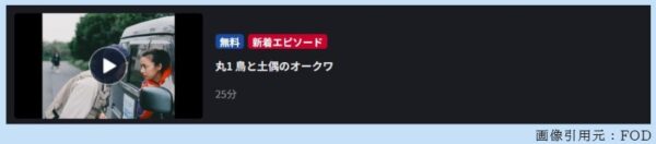 ドラマ 僕の手を売ります 1話 無料動画配信