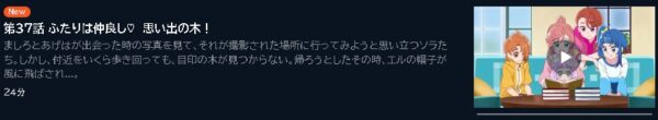 アニメ ひろがるスカイ！プリキュア 37話 動画無料配信
