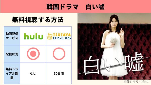 韓国ドラマ『白い嘘』配信動画を全話無料視聴できる動画配信アプリ比較 ...