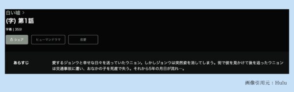 Hulu 韓国ドラマ 白い嘘 配信動画