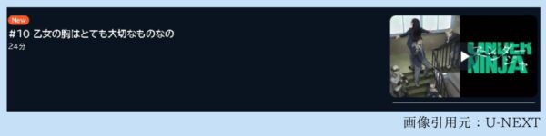 アニメ アンダーニンジャ 10話 動画無料配信