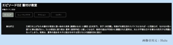 Hulu ドラマ 奥様は、取り扱い注意 配信動画