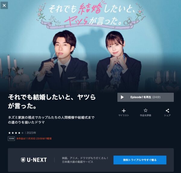 U-NEXT ドラマ それでも結婚したいと、ヤツらが言った 無料配信動画