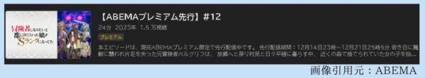 アニメ 冒険者になりたいと都に出て行った娘がSランクになってた 12話 動画無料配信