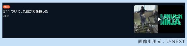 アニメ アンダーニンジャ 11話 動画無料配信
