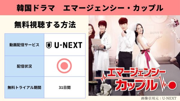 U-NEXT 韓国ドラマ エマージェンシー・カップル 無料配信動画