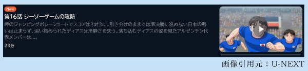 アニメ キャプテン翼シーズン2 ジュニアユース編（2期） 16話 動画無料配信