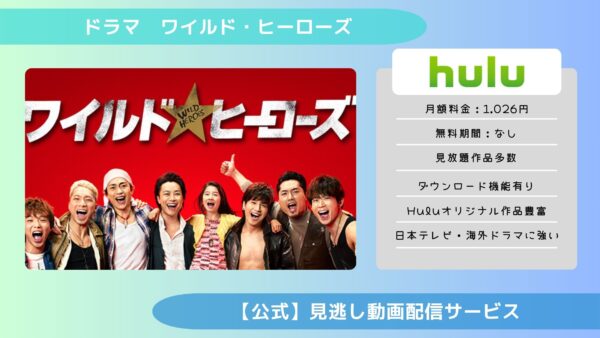 ドラマワイルドヒーローズ配信Hulu無料視聴