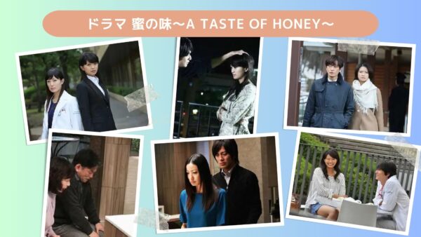  ドラマ 蜜の味〜A Taste Of Honey〜 配信基本情報