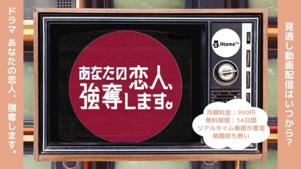 ドラマ あなたの恋人、強奪します。 Abema 無料視聴