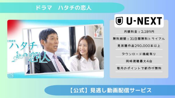 ドラマ ハタチの恋人 U-NEXT 無料視聴