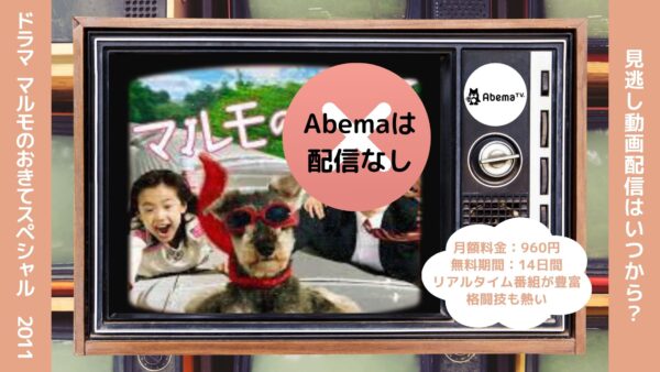 ドラママルモのおきてスペシャル（2011） Abema 無料視聴