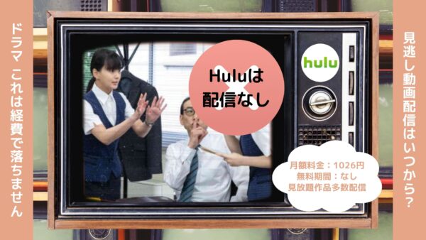 ドラマ これは経費で落ちません 配信 Hulu 無料視聴