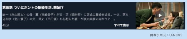 ドラマリコカツ U-NEXT 無料視聴