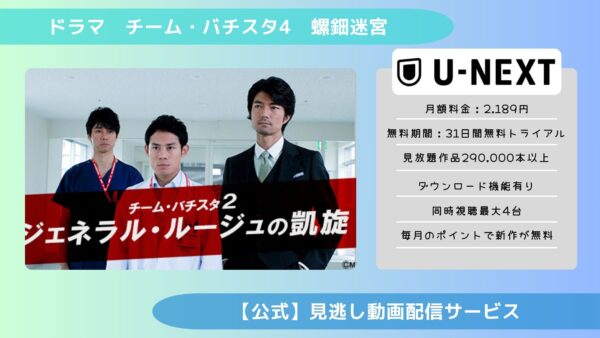 ドラマ　チーム・バチスタ4　螺鈿迷宮配信U-NEXT無料視聴