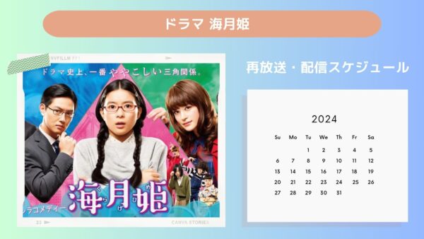 ドラマ海月姫 TSUTAYA DISCAS 配信・再放送スケジュール無料視聴