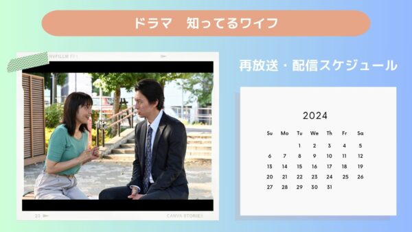 ドラマ　知ってるワイフ配信・再放送スケジュール無料視聴