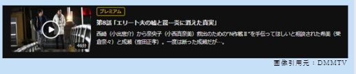 ドラマ Nのために　無料視聴