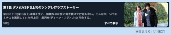 ドラマダメな私に恋してください U-NEXT 無料視聴