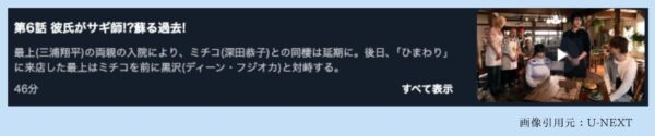 ドラマダメな私に恋してください U-NEXT 無料視聴