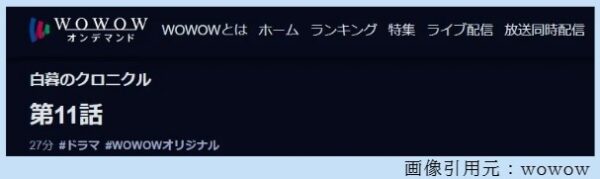 ドラマ 白暮のクロニクル 11話 無料動画配信