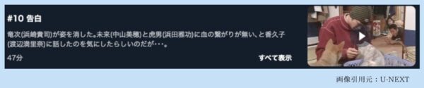 ドラマもしも願いが叶うなら U-NEXT 無料視聴