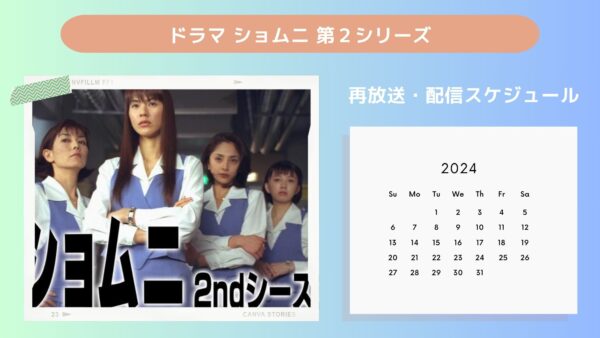 ドラマショムニ 第2シリーズ TSUTAYA DISCAS 配信・再放送スケジュール無料視聴