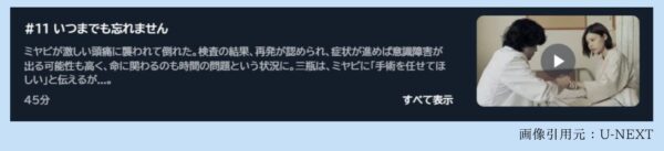 ドラマアンメット11話U-NEXT無料視聴