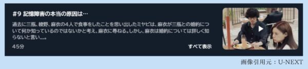 ドラマアンメット9話U-NEXT無料視聴